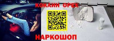 Альфа ПВП Малгобек