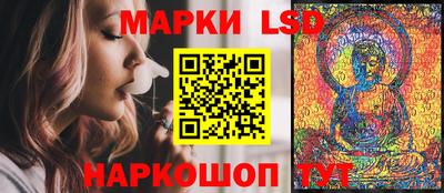 Альфа ПВП Малгобек