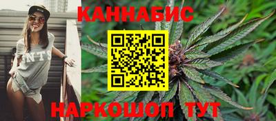 Альфа ПВП Малгобек
