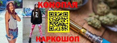 Альфа ПВП Малгобек