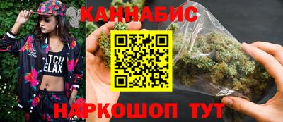 Альфа ПВП Малгобек