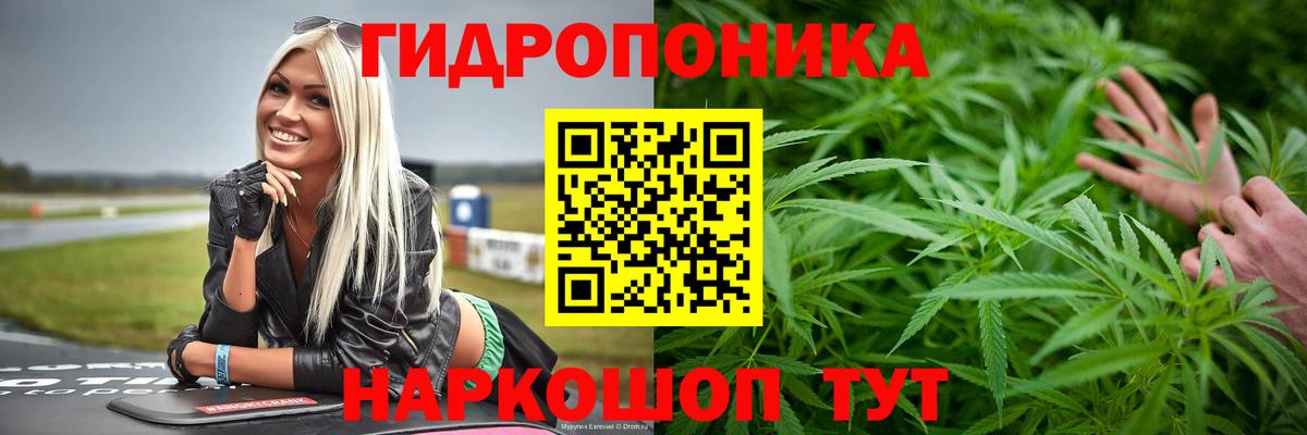 Бошки Шишки гибрид Унеча